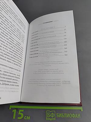 Святослав. Княгиня и рабыня. Книга первая