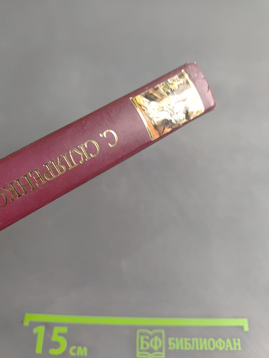 Святослав. Княгиня и рабыня. Книга первая