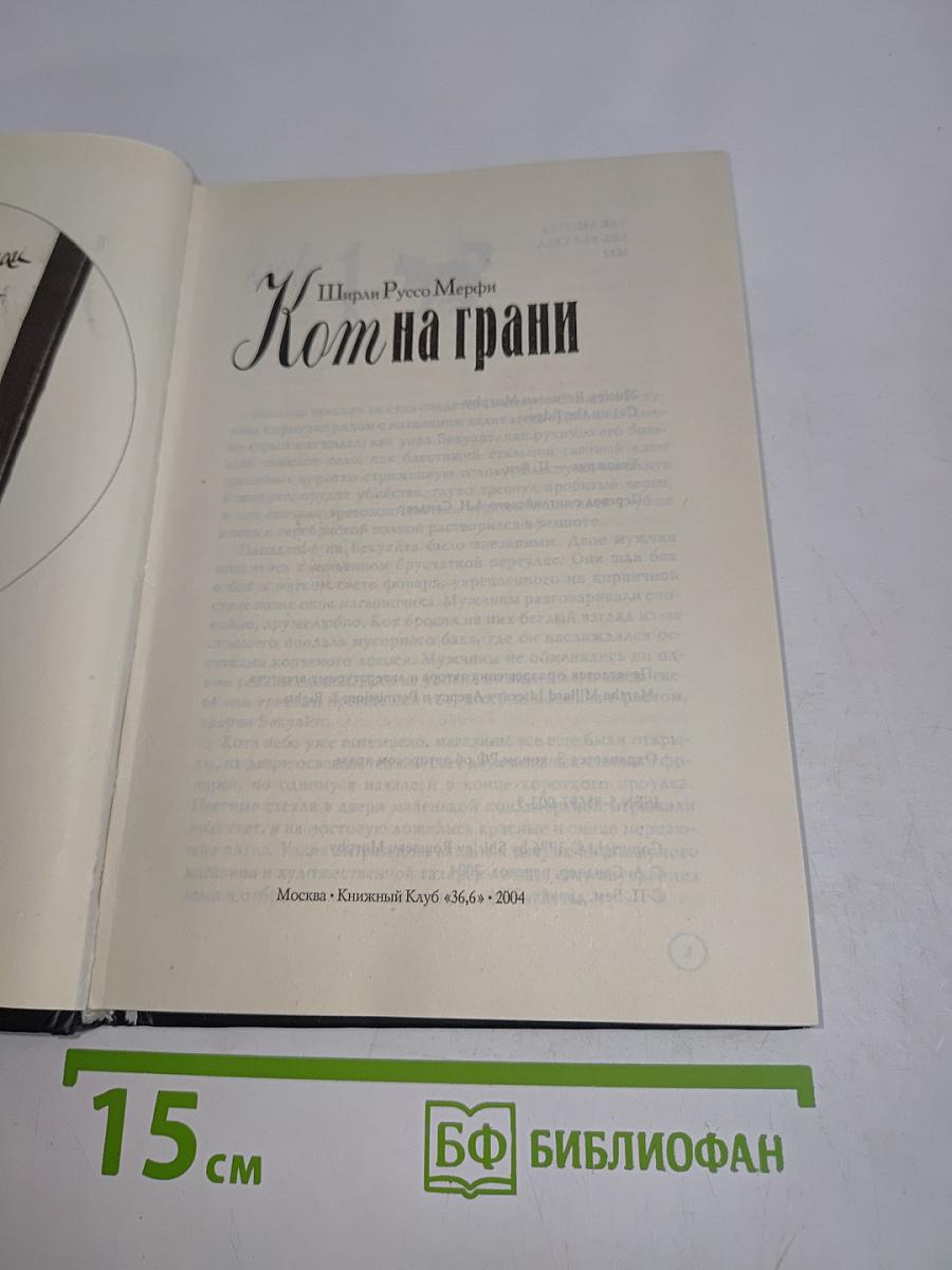 Кот на грани