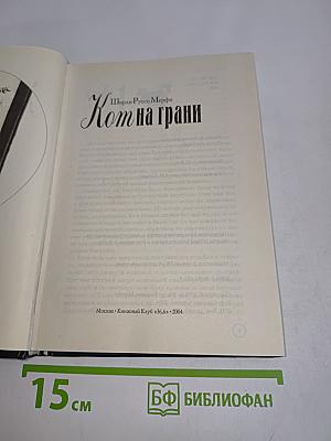 Кот на грани