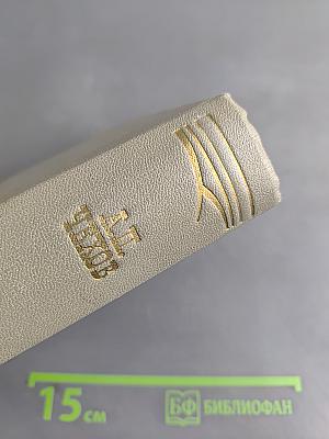 Собрание сочинений. Том десятый. Из Сибири. Остров Сахалин. Фёльетоны, статьи, рецензии, очерки, дневники 1882-1904