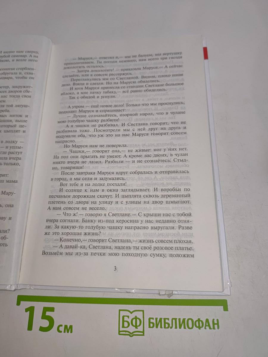 Тимур и его команда