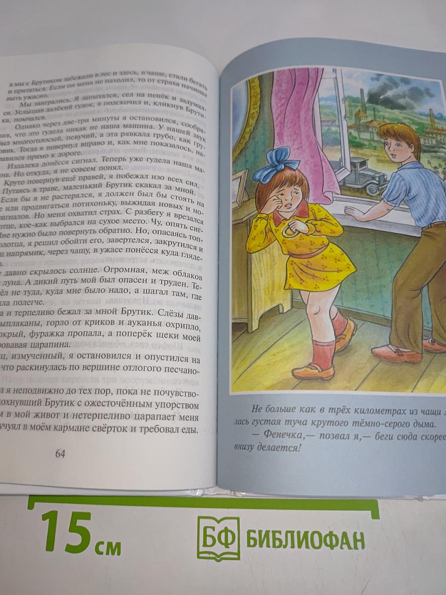 Тимур и его команда