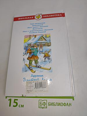Тимур и его команда