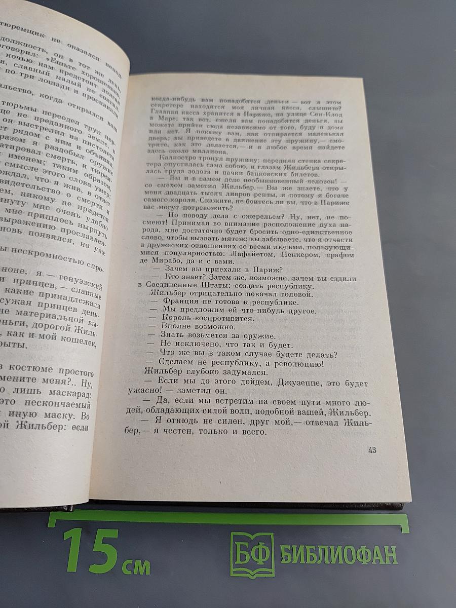 Графиня де Шарни. Том 8