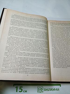 История зарубежной литературы. средние века и возрождение