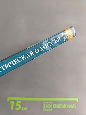 Арктическая одиссея. Как «хозяйничали» нацисты в Советской Арктике