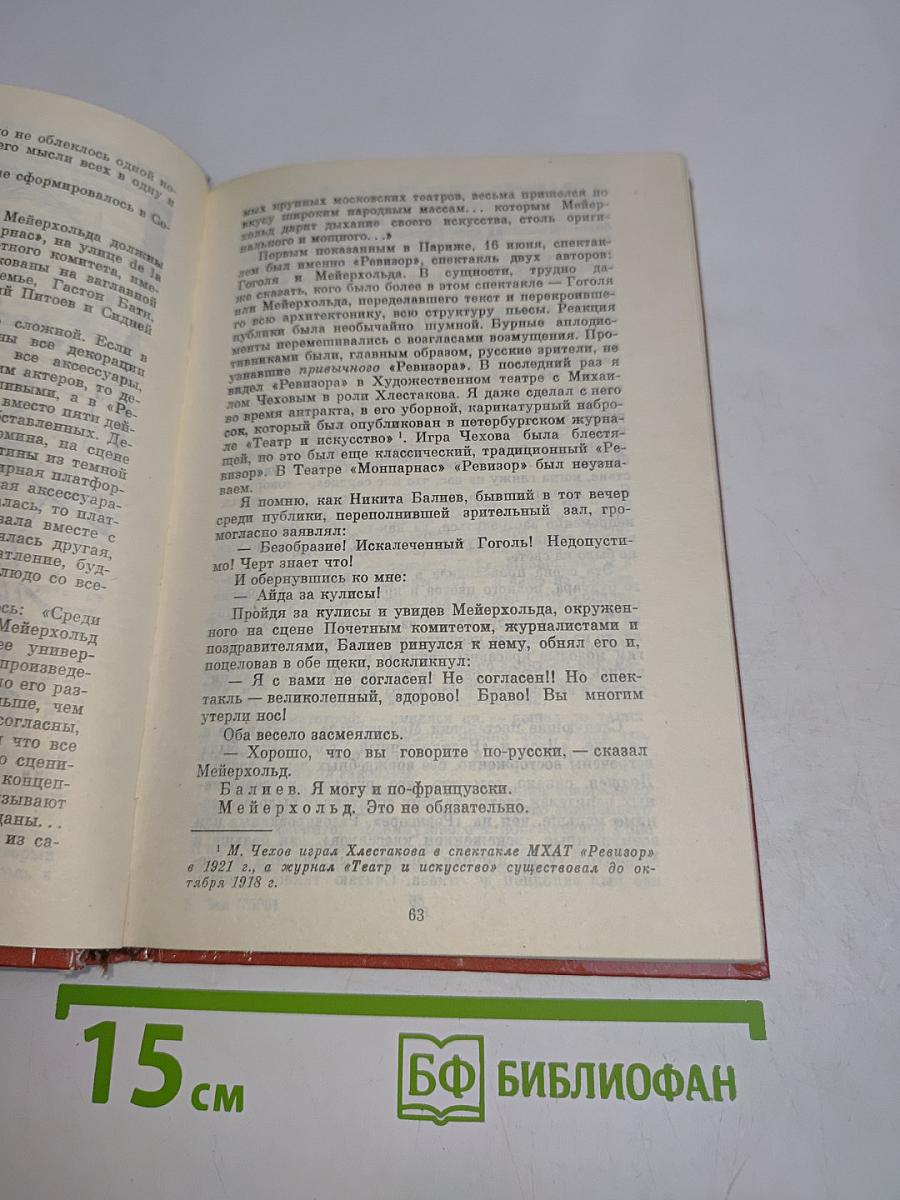 Дневник моих встреч. Том 2. Цикл трагедий
