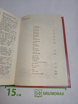 Дневник моих встреч. Том 2. Цикл трагедий
