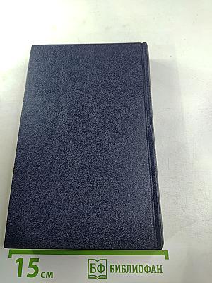 Стрельцы. Русский Икар. Черный ящик