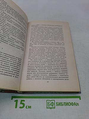 Хочу быть дворником