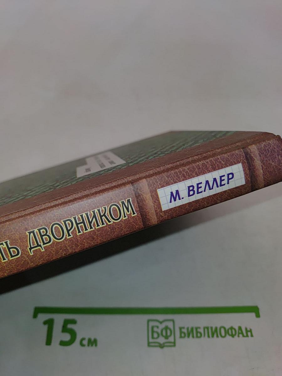Хочу быть дворником