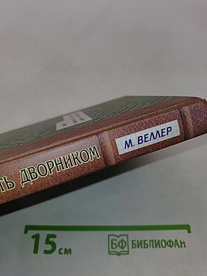 Хочу быть дворником