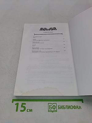 Дневники и фантазии. Книга II