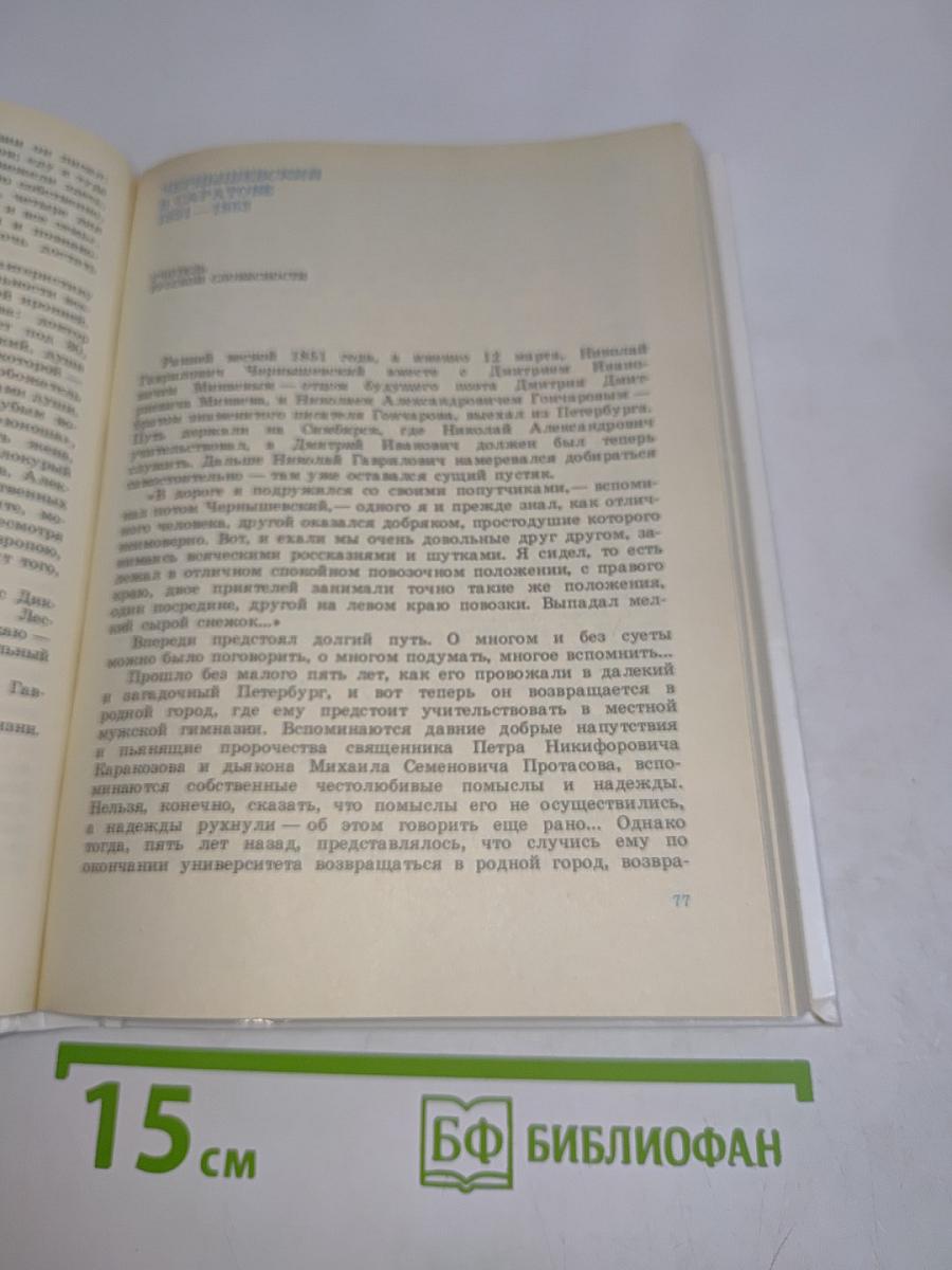 Н.Г. Чернышевский