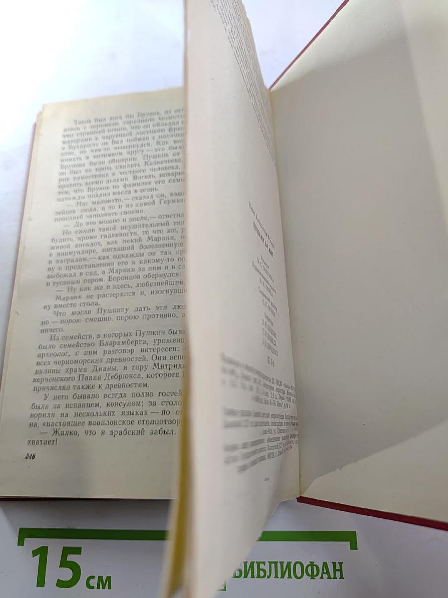 Пушкин на юге