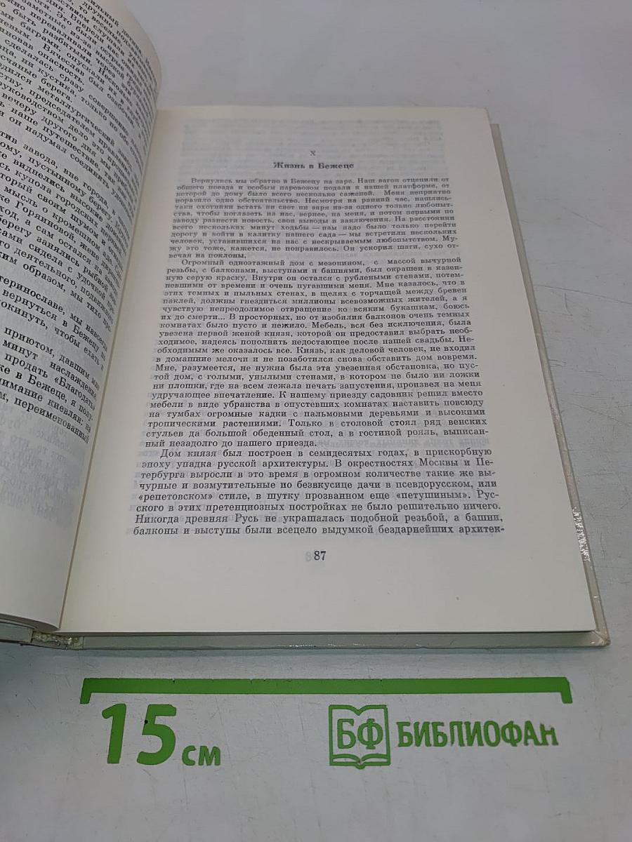 Впечатления моей жизни