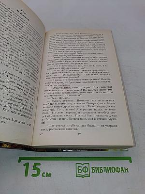 Срок для бешеного