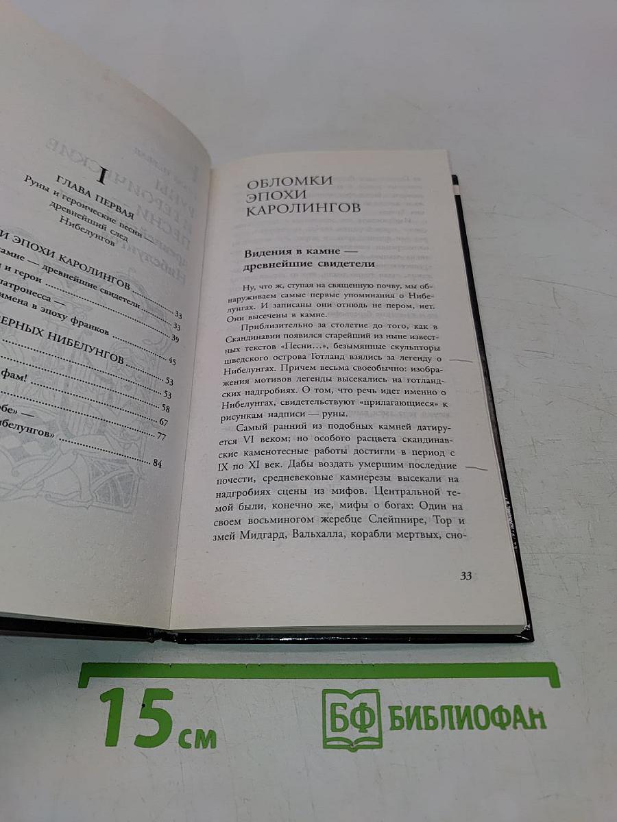 Код Нибелунгов. Власть богатства и механизмы власти