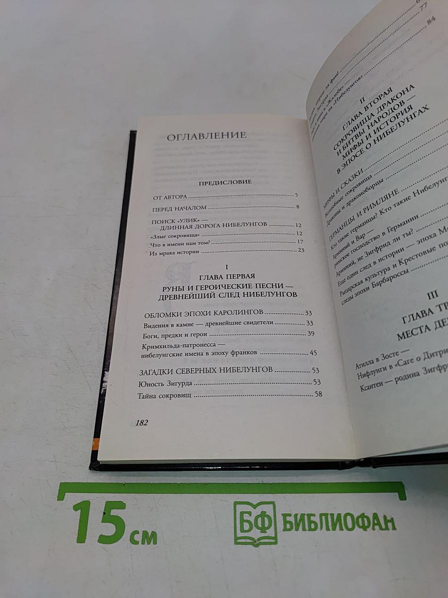 Код Нибелунгов. Власть богатства и механизмы власти
