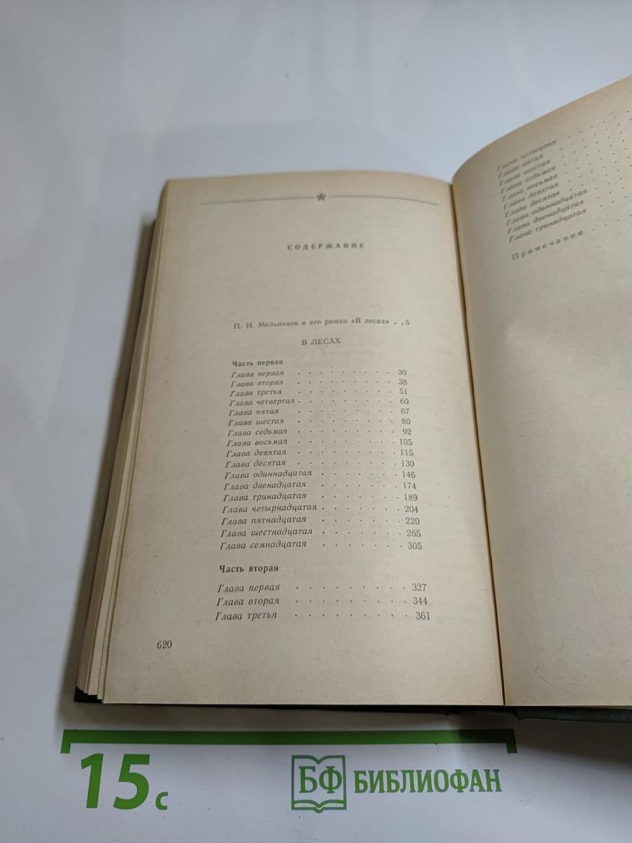 В лесах. Роман в двух книгах. Книга первая