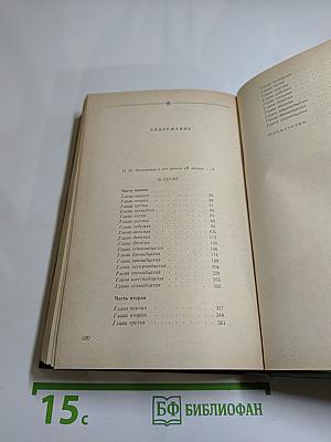 В лесах. Роман в двух книгах. Книга первая