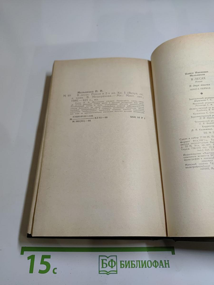 В лесах. Роман в двух книгах. Книга первая