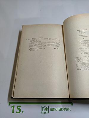 В лесах. Роман в двух книгах. Книга первая