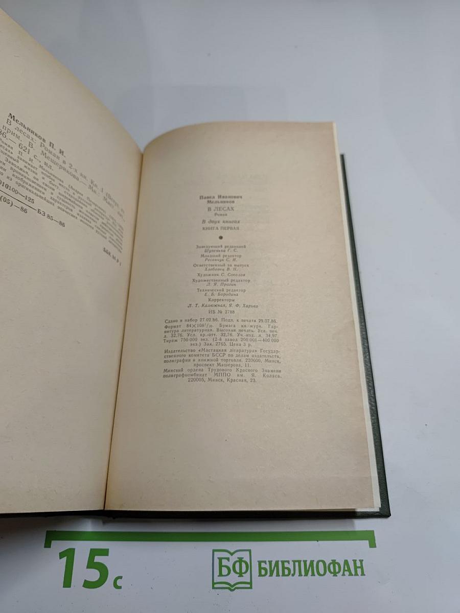 В лесах. Роман в двух книгах. Книга первая