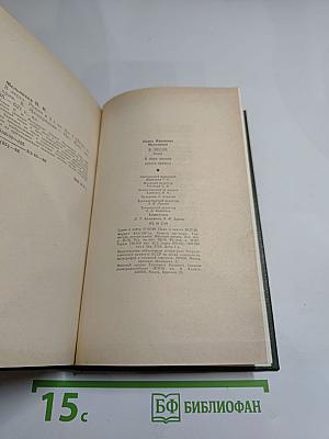 В лесах. Роман в двух книгах. Книга первая