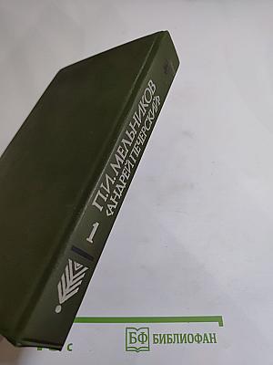 В лесах. Роман в двух книгах. Книга первая