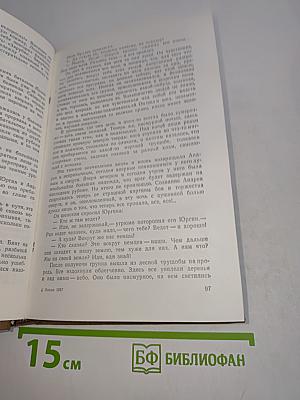 Белая береза