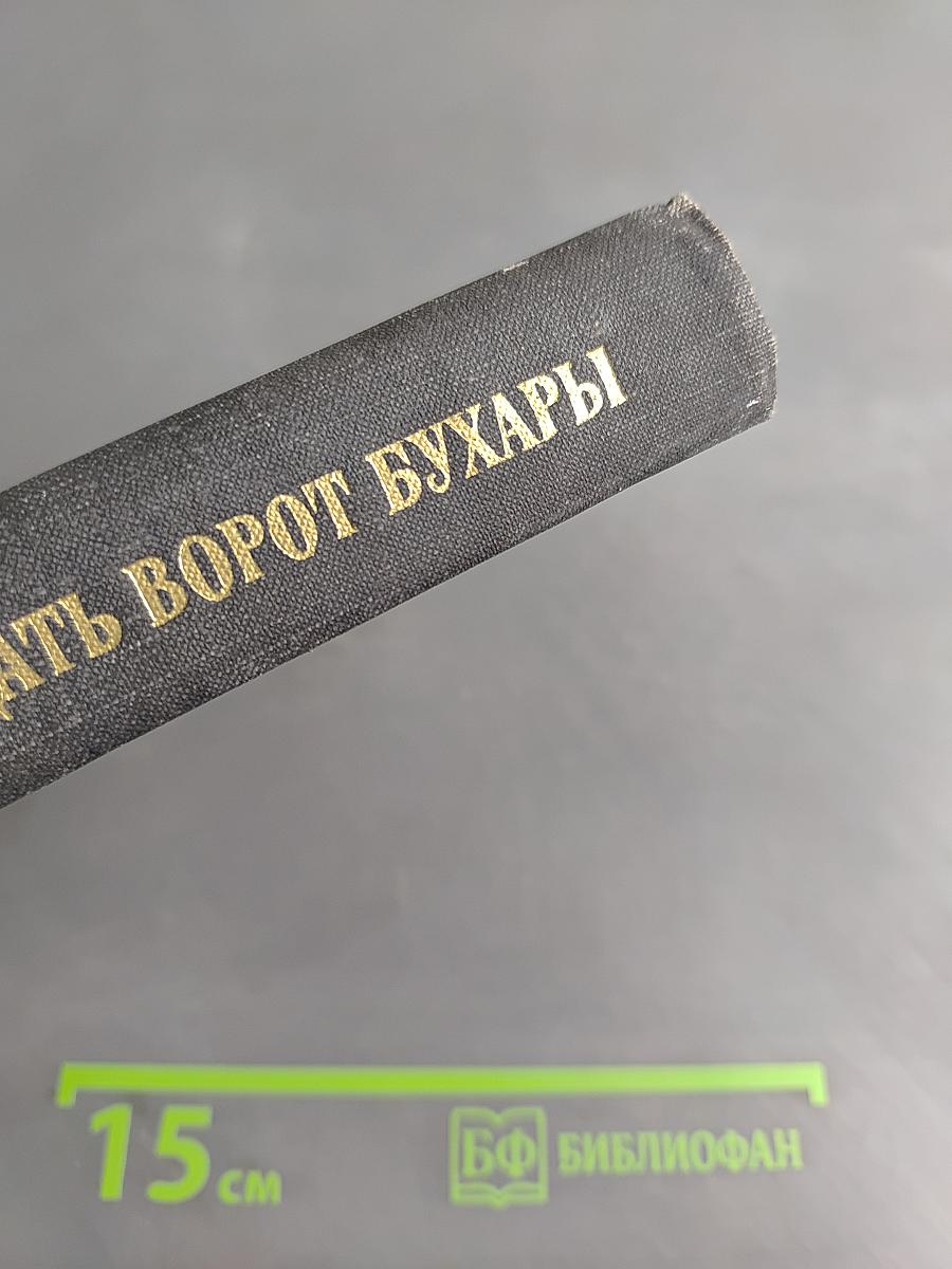 Двадцать ворот Бухары. Книга 1