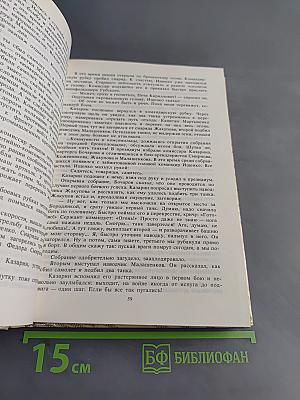 Комиссары на линии огня, 1941-1945. На земле