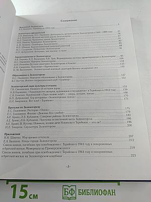 Зеленогорск на рубеже веков