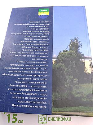 Зеленогорск на рубеже веков