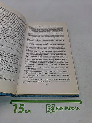 Год Крысы. Видунья