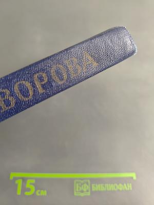 Шпага Суворова