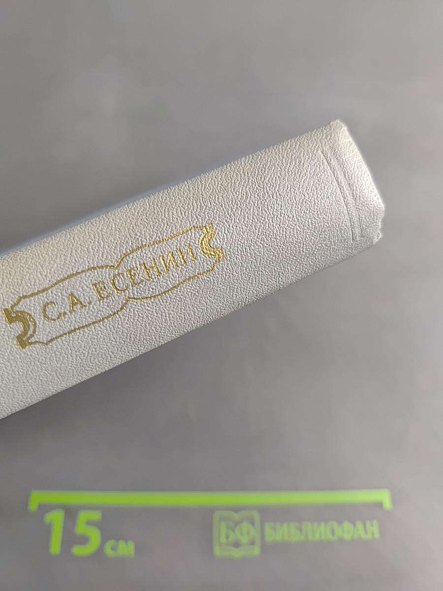 Собрание сочинений. Том 6. Письма