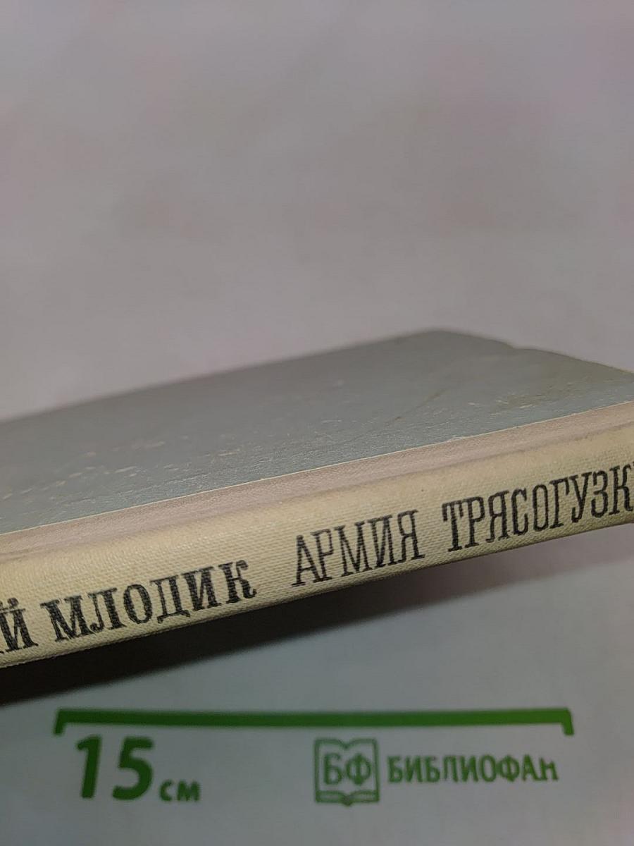 Армия трясогузки