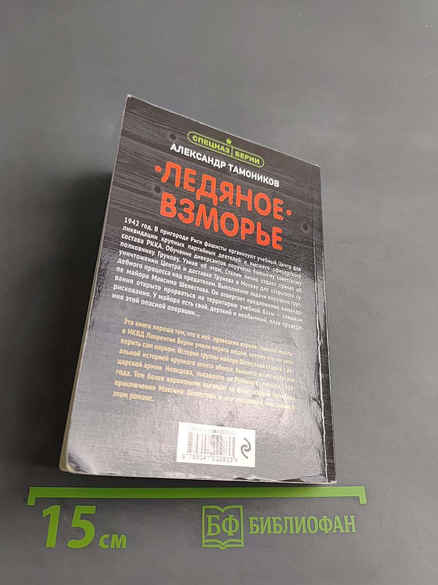 Ледяное взморье
