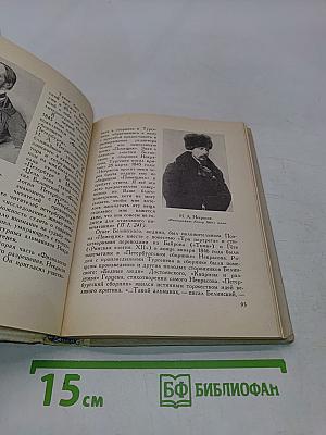 Тургенев в Петербурге