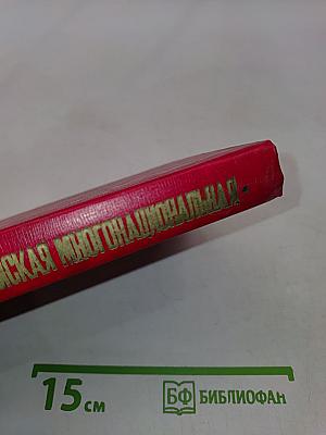 51-я гвардейская многонациональная