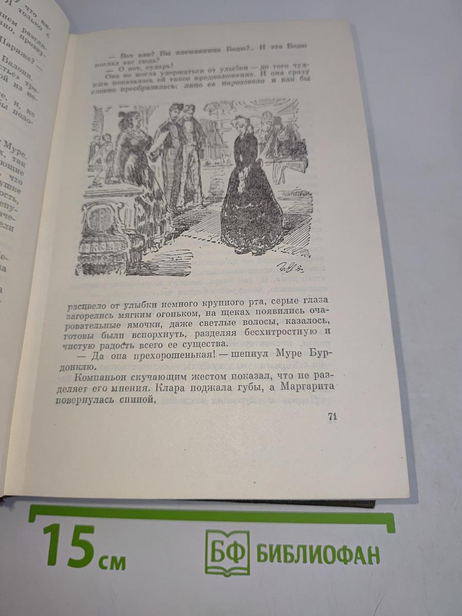 Собрание сочинений. Том девятый. Дамское счастье. Радость жизни