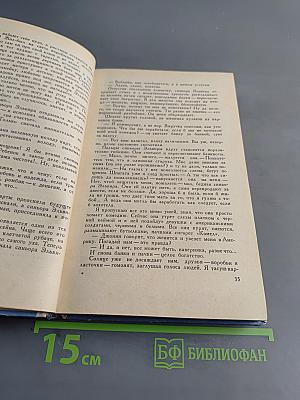 Постоянство разума