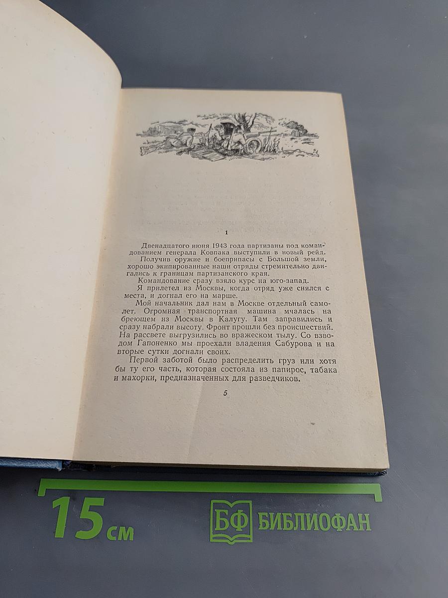Люди с чистой совестью. Книга вторая. Карпатский рейд