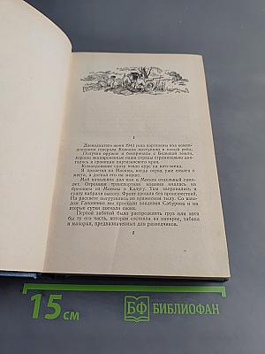 Люди с чистой совестью. Книга вторая. Карпатский рейд