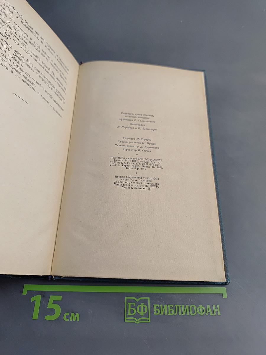 Люди с чистой совестью. Книга вторая. Карпатский рейд