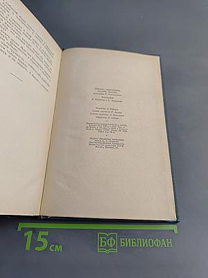 Люди с чистой совестью. Книга вторая. Карпатский рейд