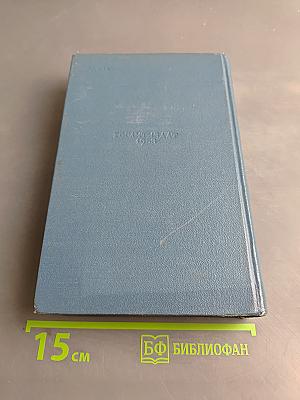 Люди с чистой совестью. Книга вторая. Карпатский рейд
